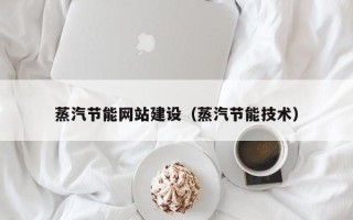 阿拉善盟蒸汽节能网站建设（蒸汽节能技术）